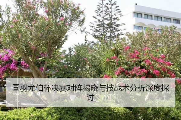 国羽尤伯杯决赛对阵揭晓与技战术分析深度探讨
